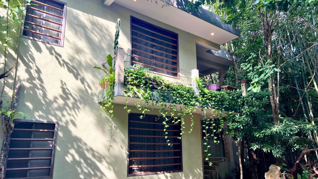 Photo of Outdoor in Benito Juarez