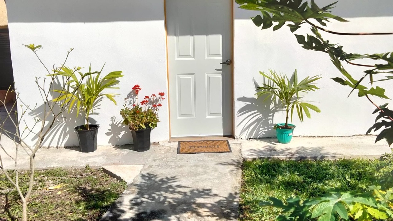 Photo of Outdoor in Alfredo V. Bonfil