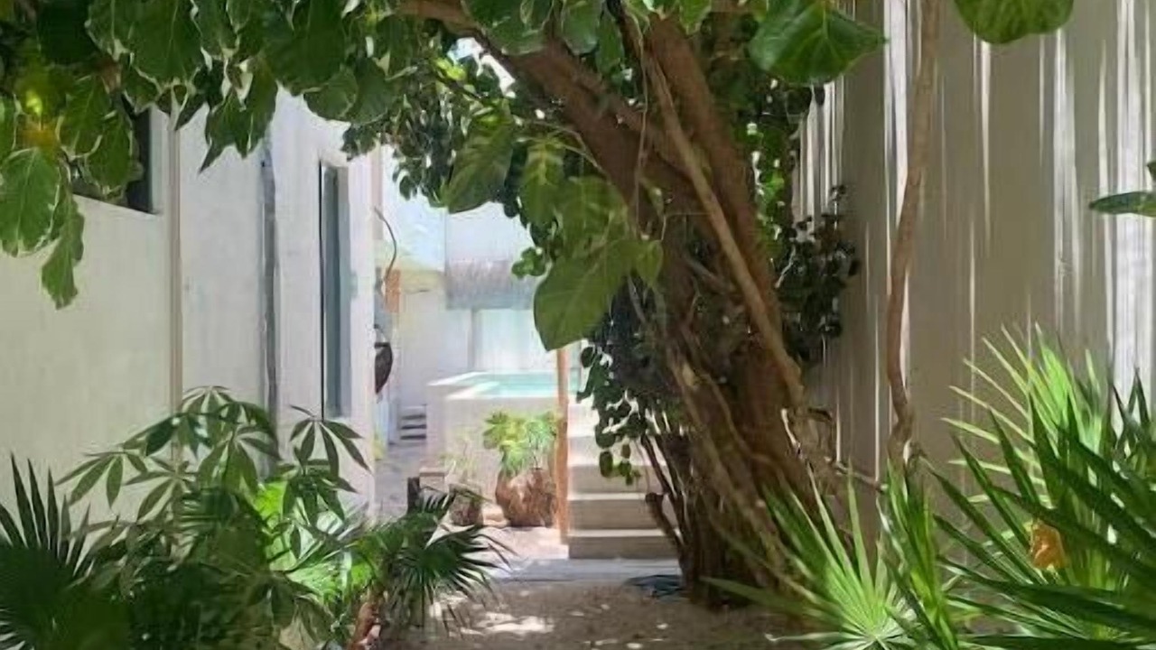 Photo of Outdoor in Downtown Cancun