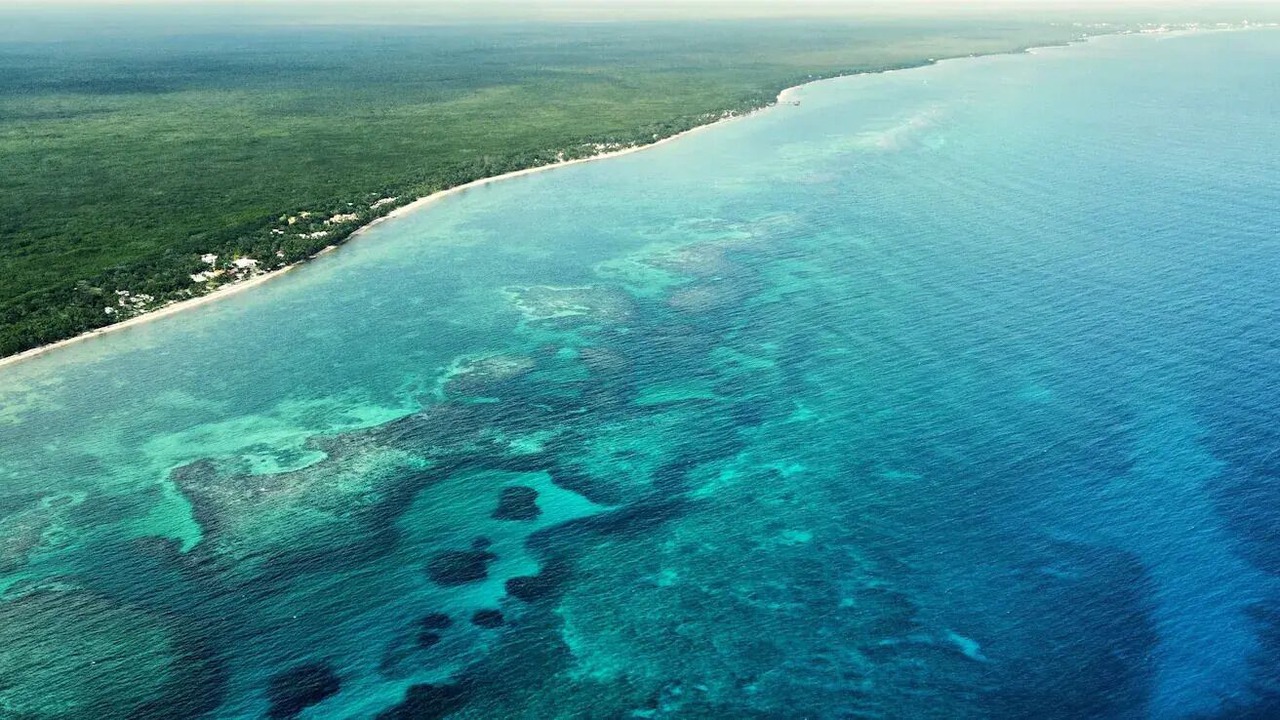 Photo of Outdoor in Mahahual