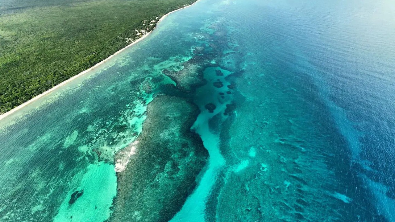 Photo of Outdoor in Mahahual