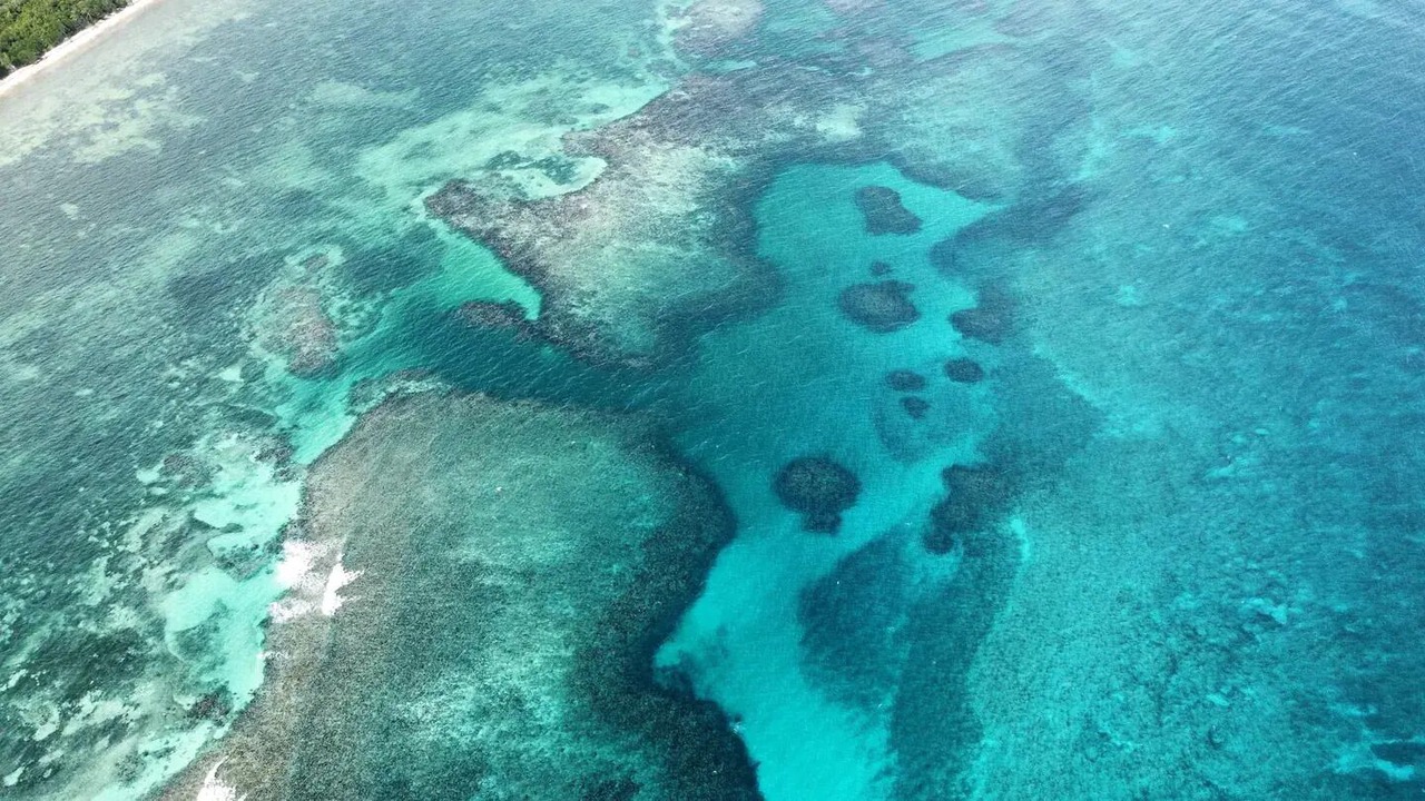 Photo of Outdoor in Mahahual