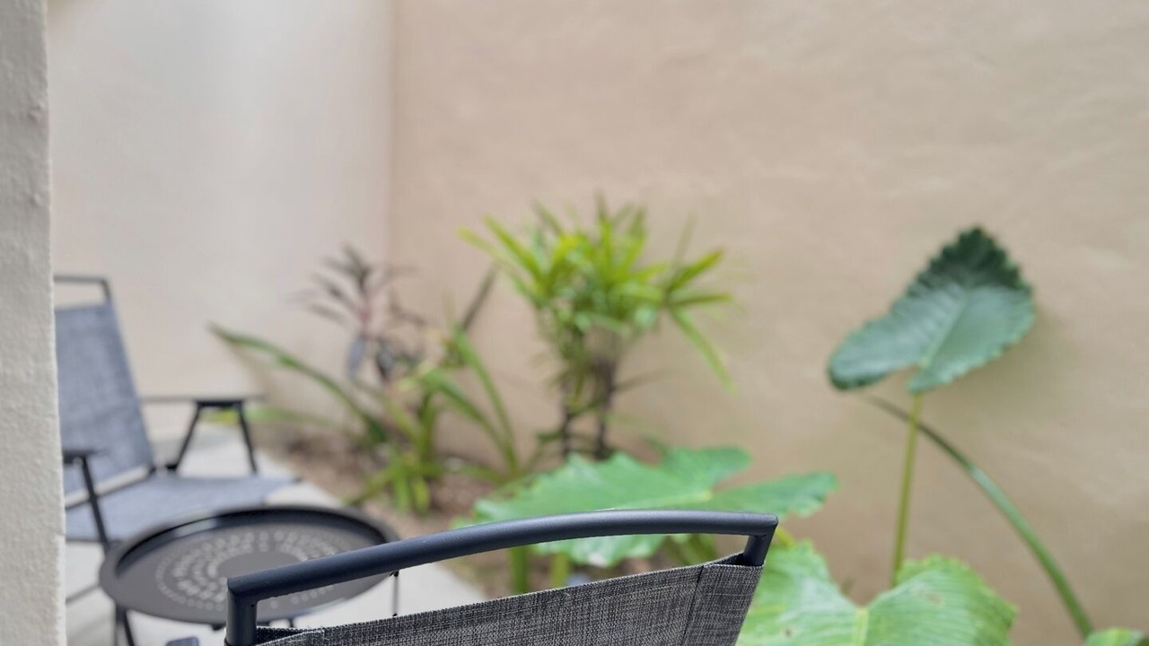 Photo of Outdoor in Downtown Cancun