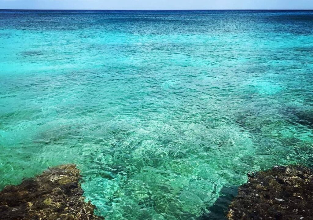 Photo of Others in Cozumel