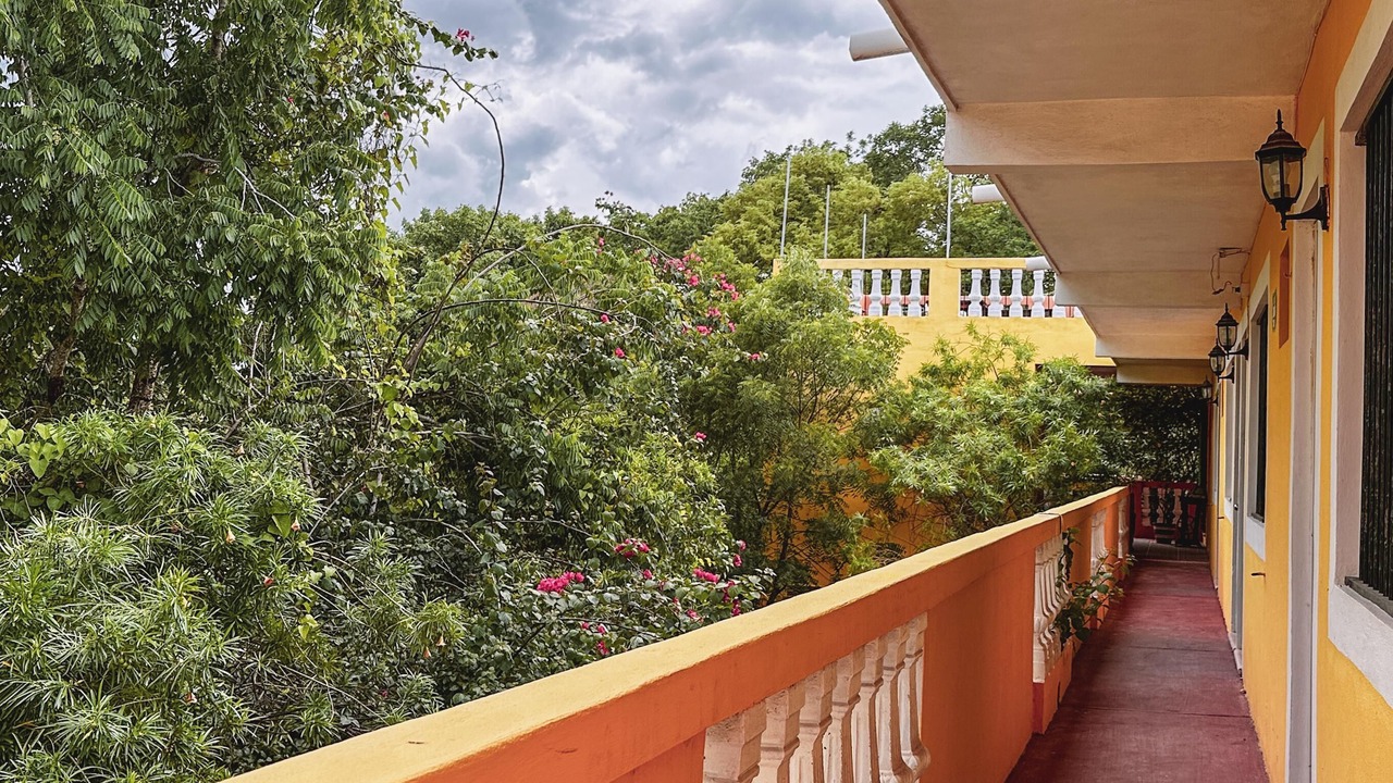 Photo of Outdoor in Valladolid