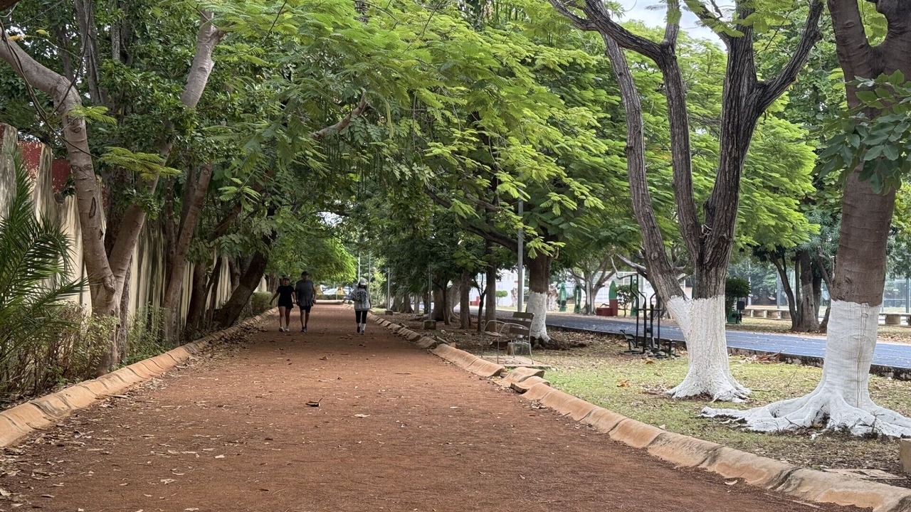 Photo of Others in Merida