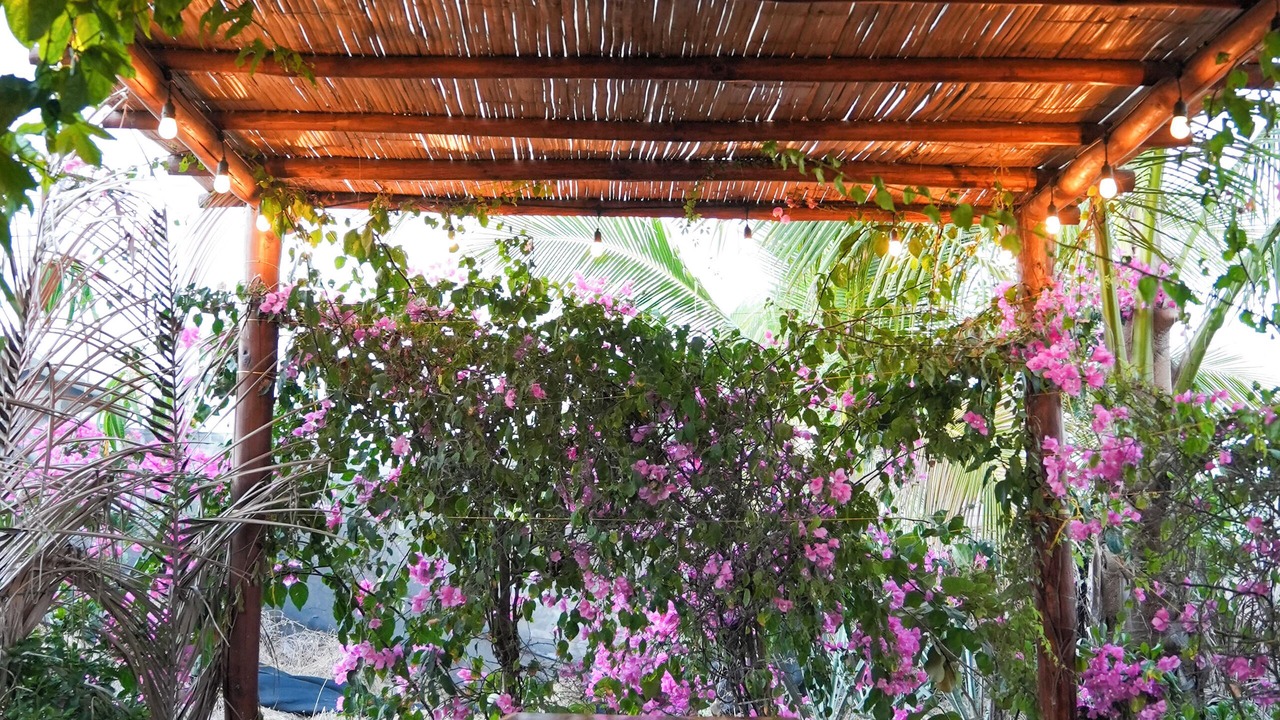 Photo of Outdoor in Barra de Colotepec