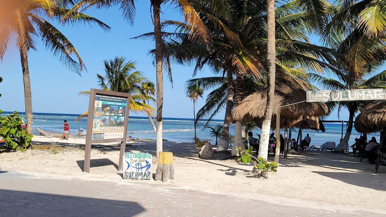 Photo of Others in Majahual