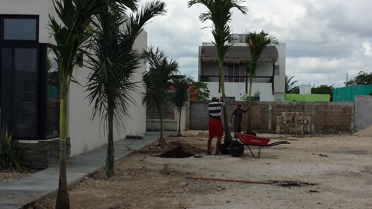 Photo of Outdoor in Majahual