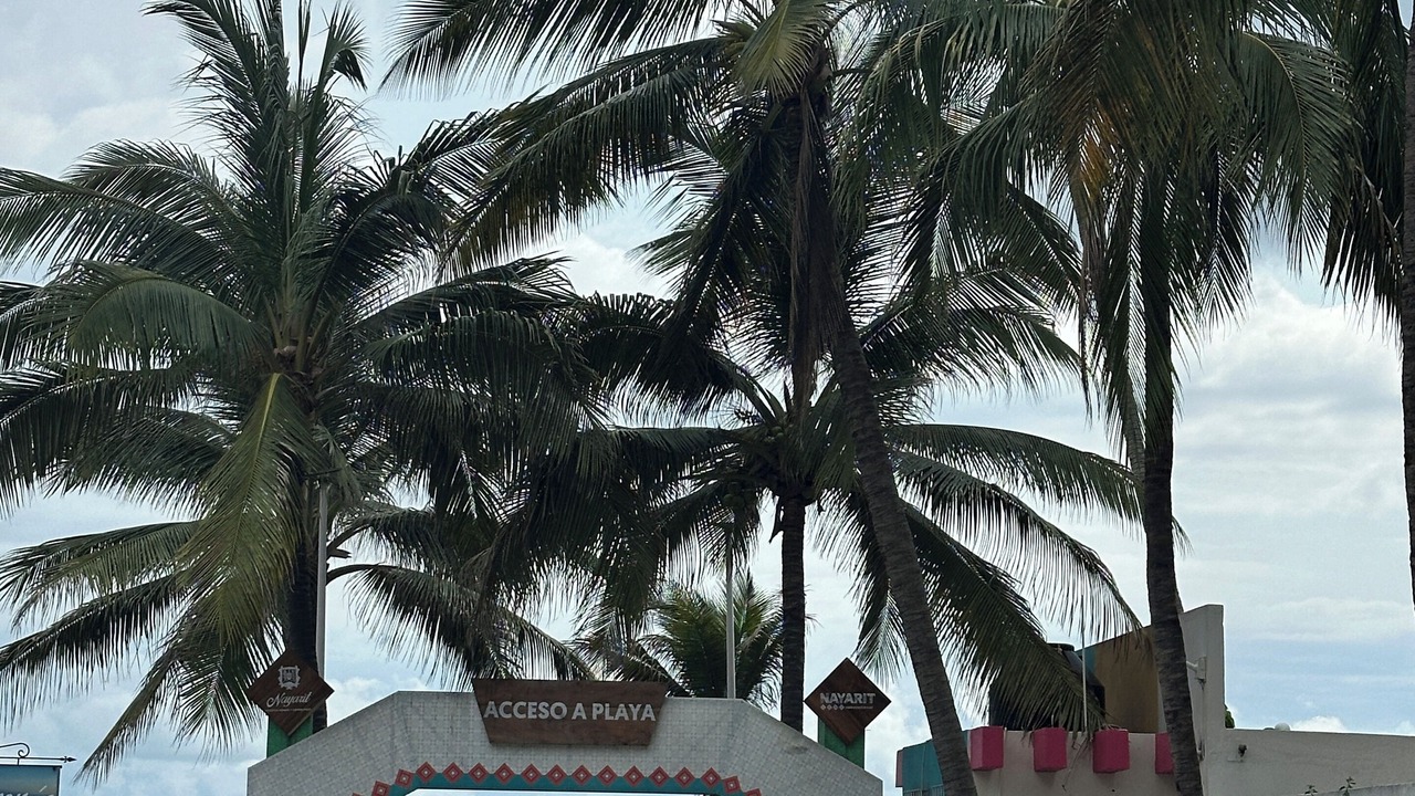 Photo of Others in Mezcales
