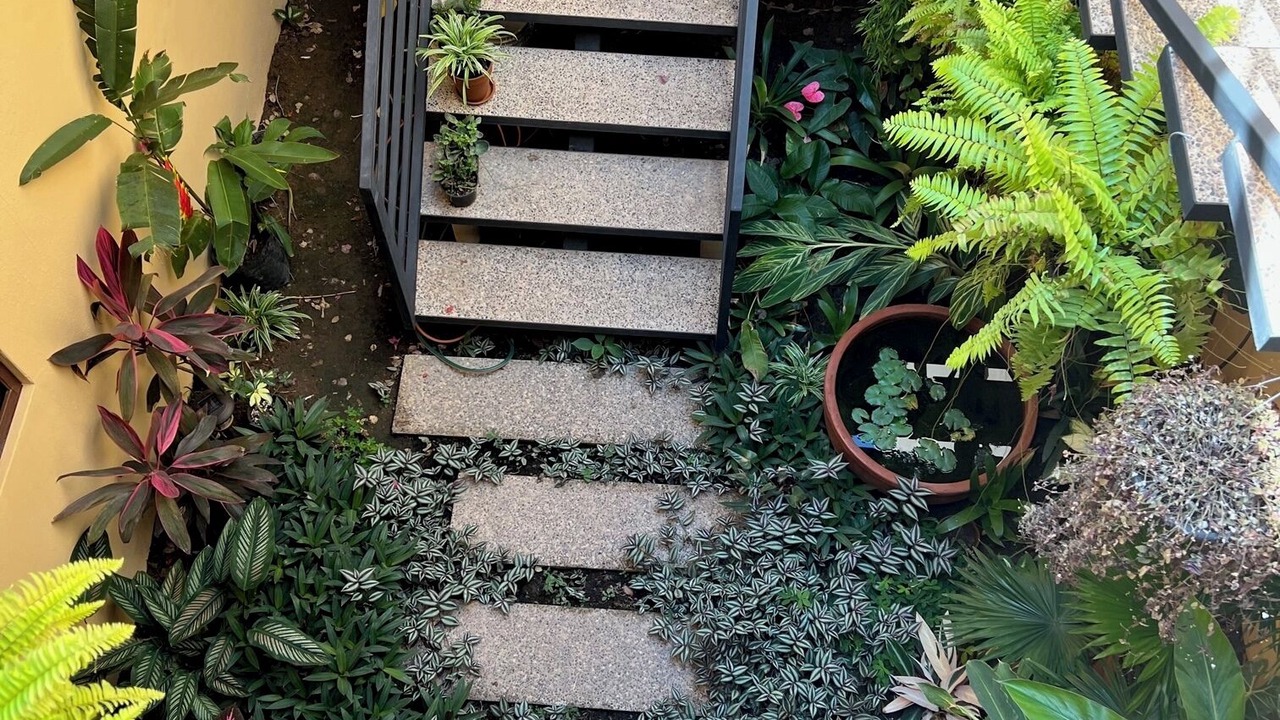 Photo of Outdoor in Lo de Marcos