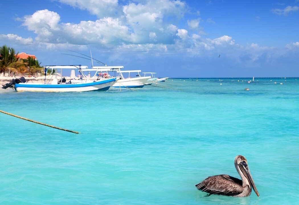 Photo of Others in Puerto Morelos