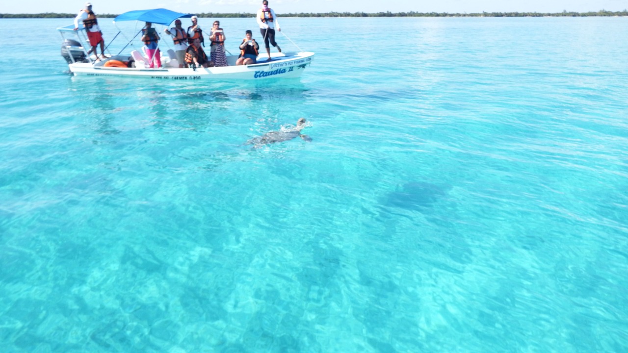 Photo of Others in Puerto Morelos