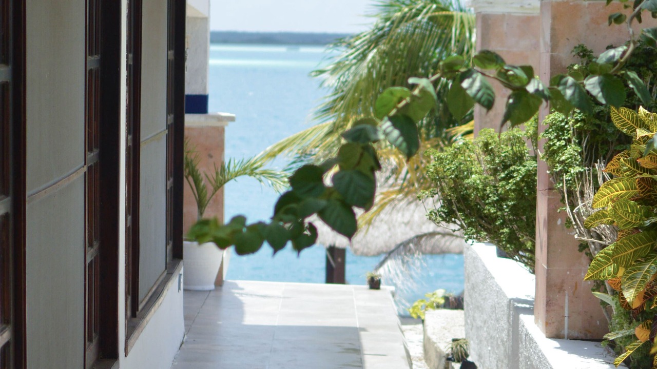 Photo of Outdoor in Chetumal