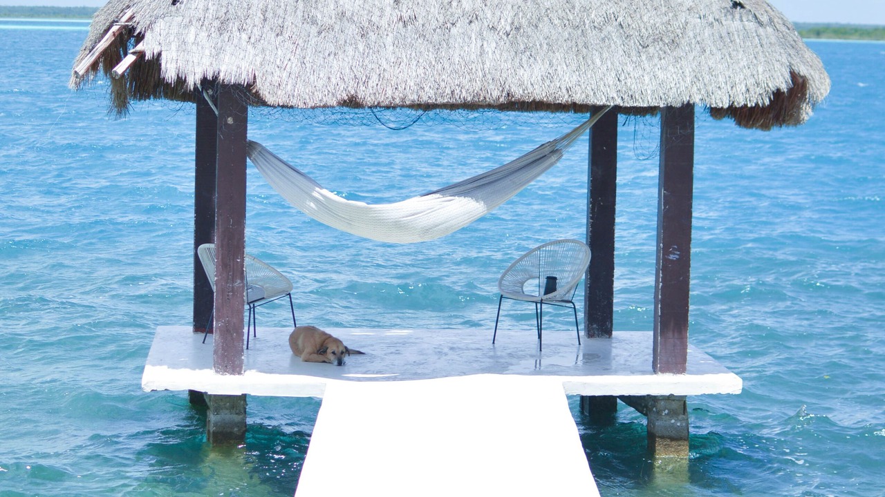 Photo of Outdoor in Chetumal