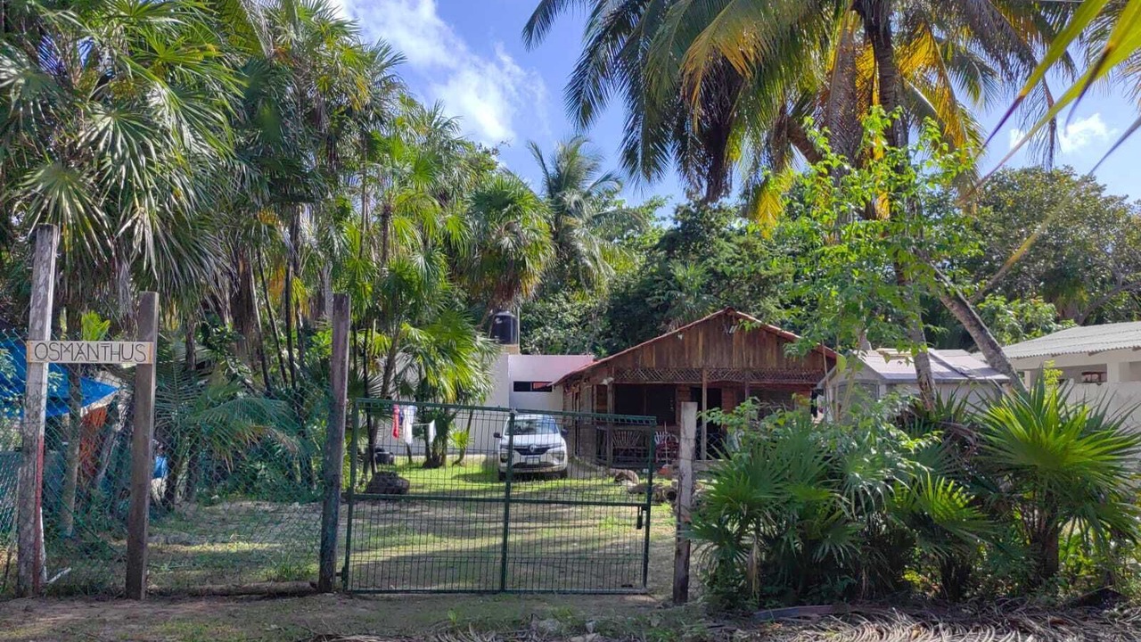 Photo of Outdoor in Punta Allen