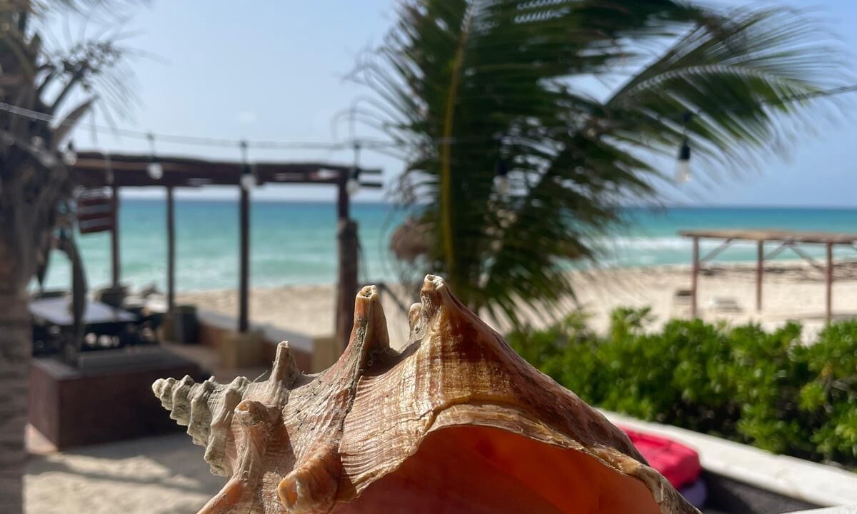 Photo of Others in Playa del Secreto