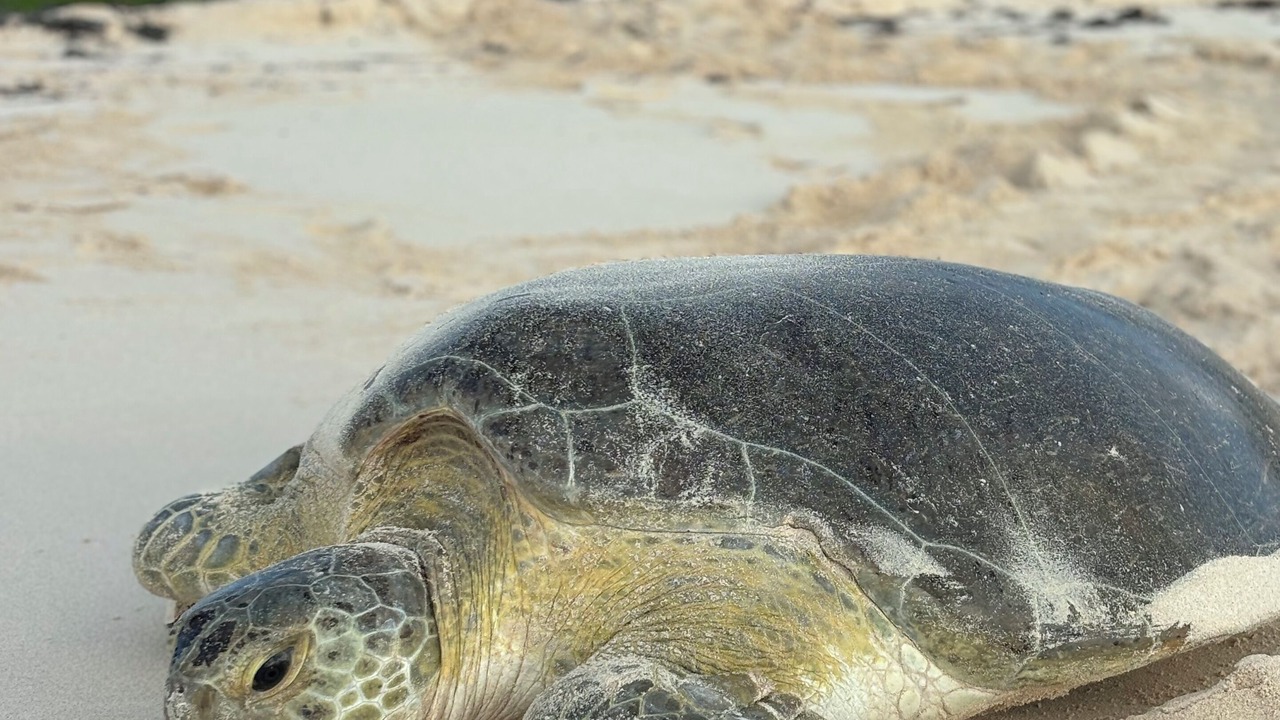 Photo of Others in Playa del Secreto