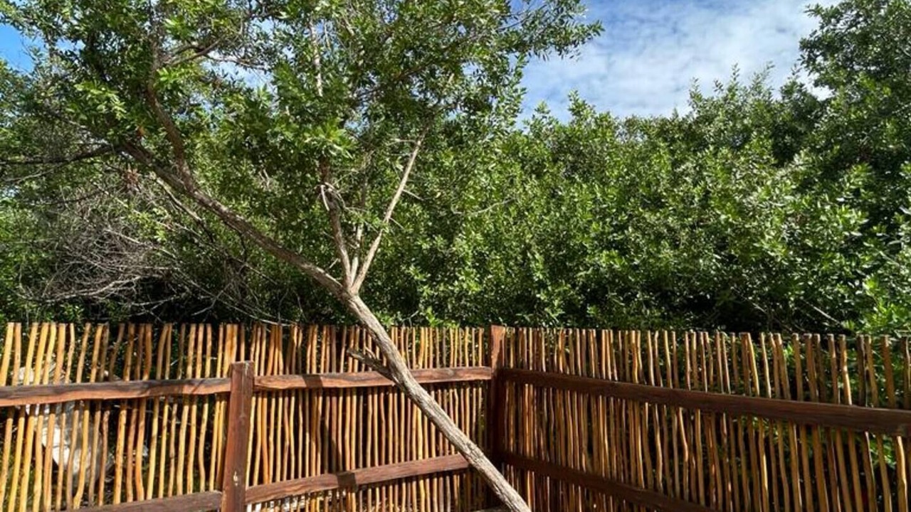 Photo of Outdoor in Isla Holbox