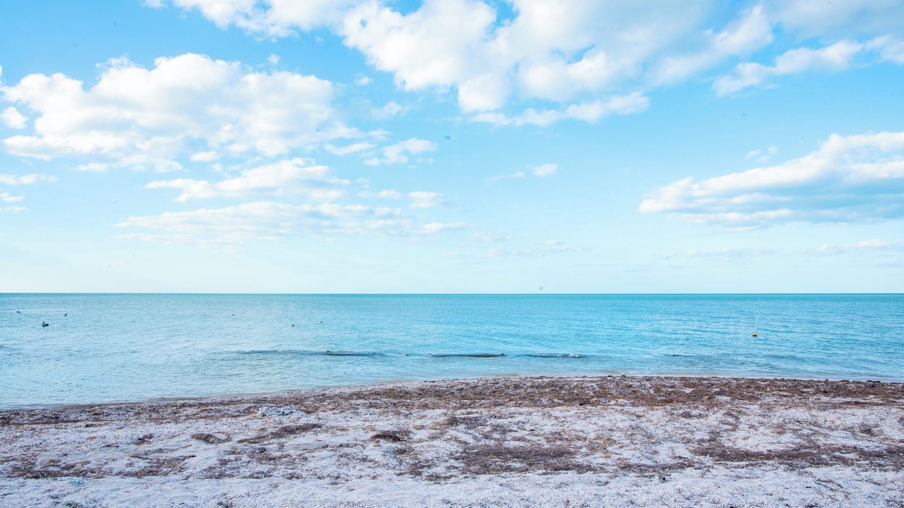 Photo of Others in Chicxulub Puerto