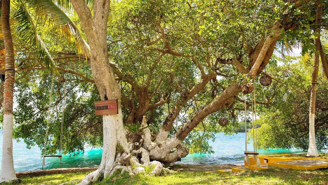 Photo of Others in Chetumal