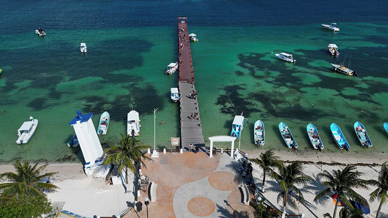 Photo of Others in Puerto Morelos