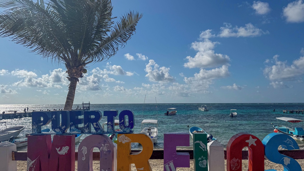 Photo of Others in Puerto Morelos