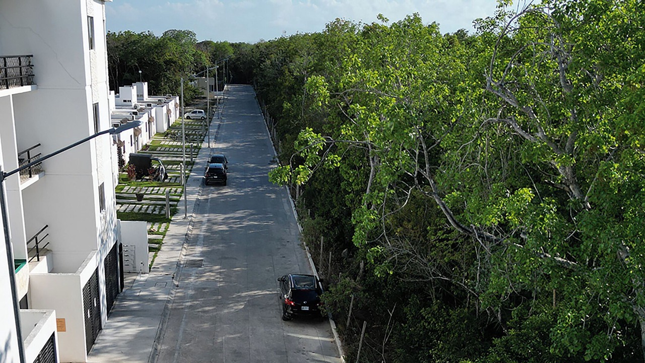 Photo of Others in Puerto Morelos