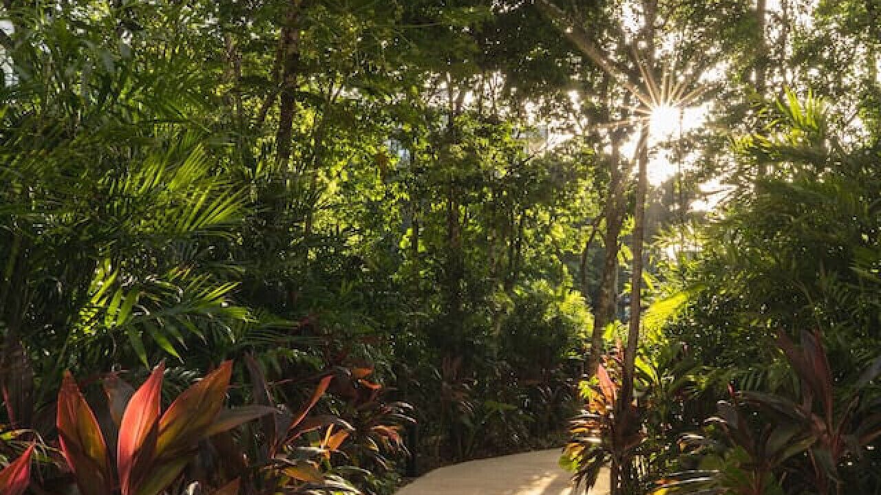 Photo of Outdoor in Tulum
