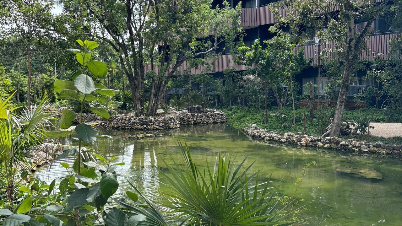 Photo of Outdoor in Playa Paraiso