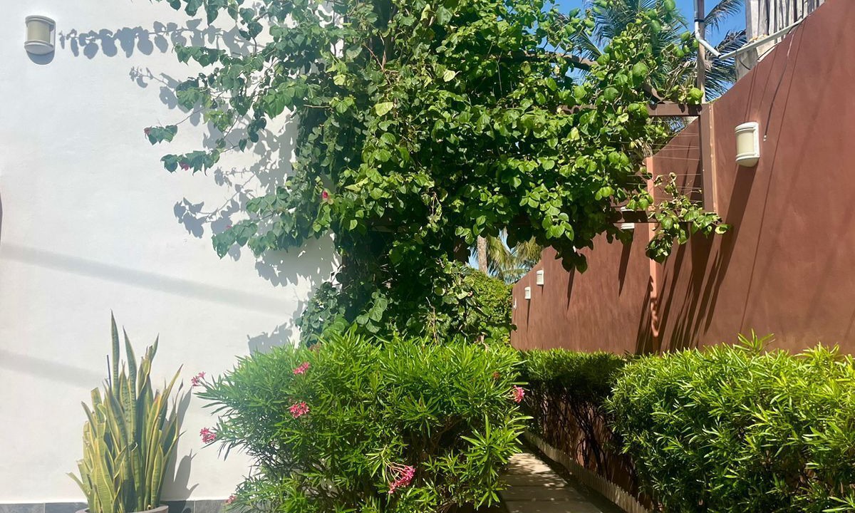 Photo of Outdoor in Salinas