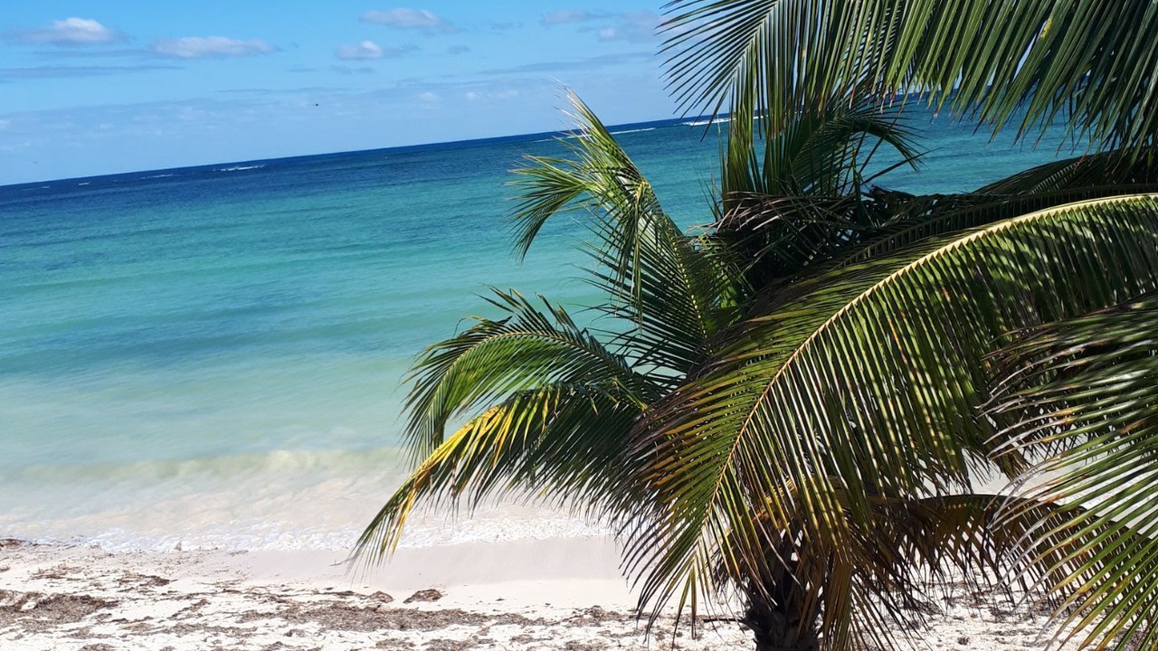 Photo of Others in Mahahual