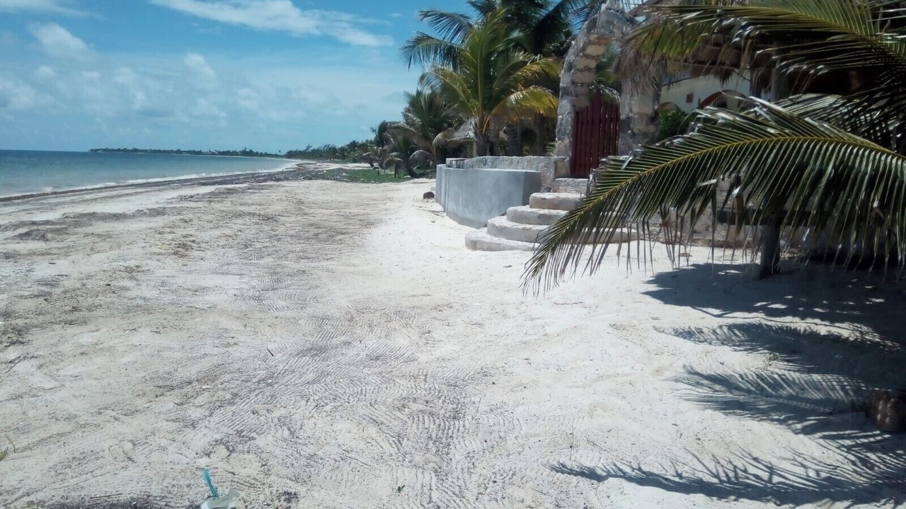 Photo of Others in Mahahual