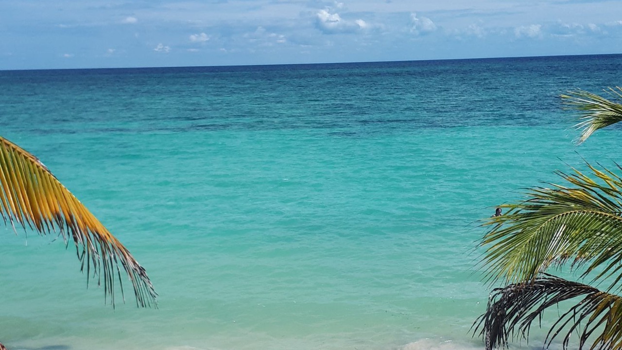 Photo of Others in Mahahual