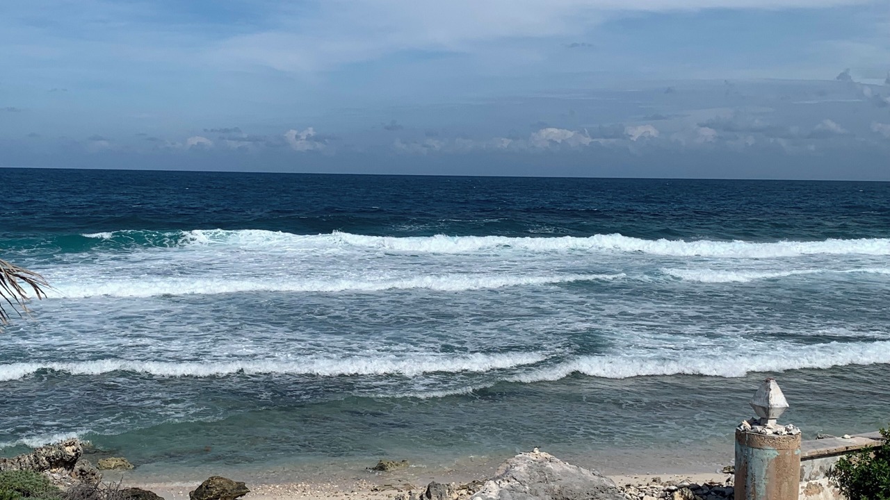 Photo of Others in Cancun