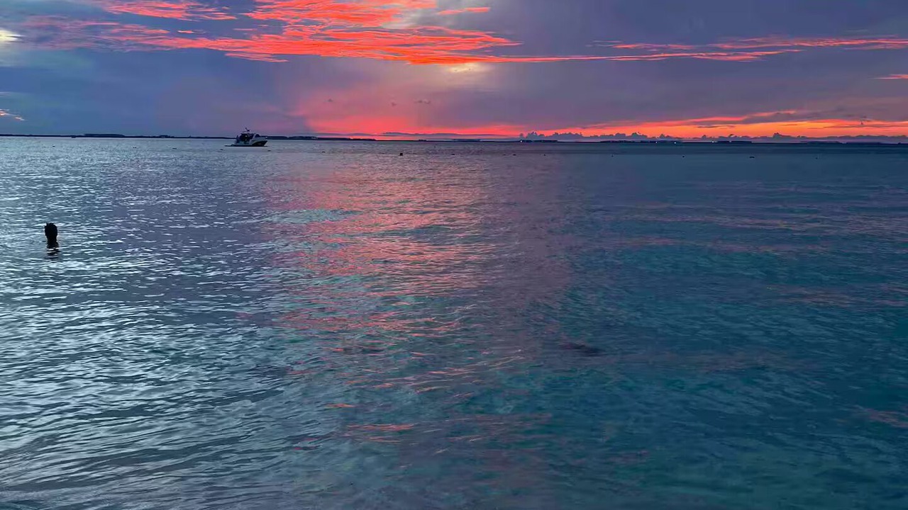 Photo of Others in Cancun