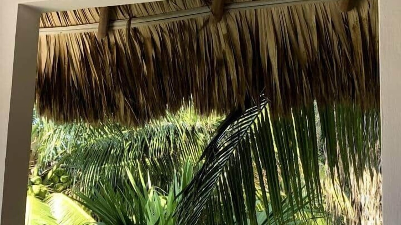 Photo of Outdoor in Barra de Colotepec