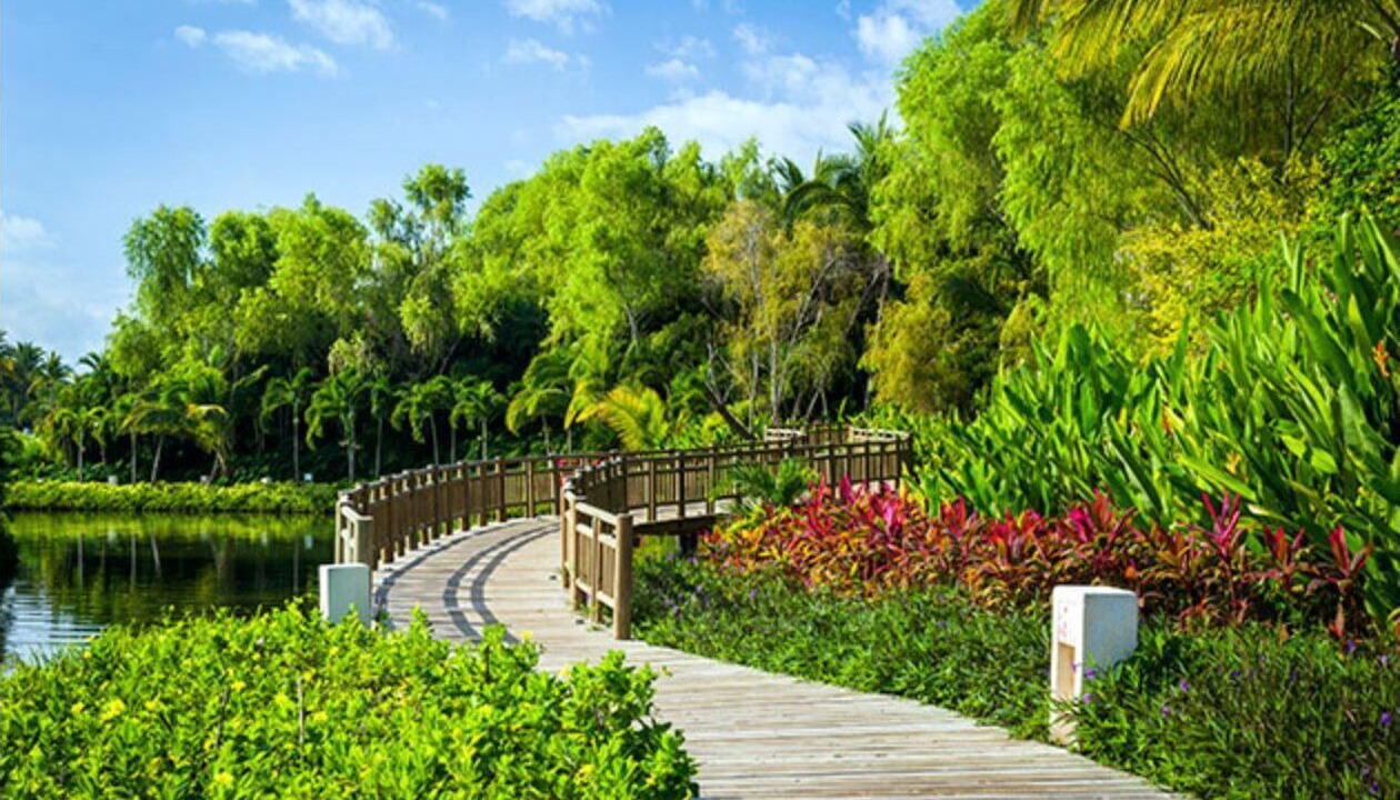 Photo of Outdoor in Villa Juarez
