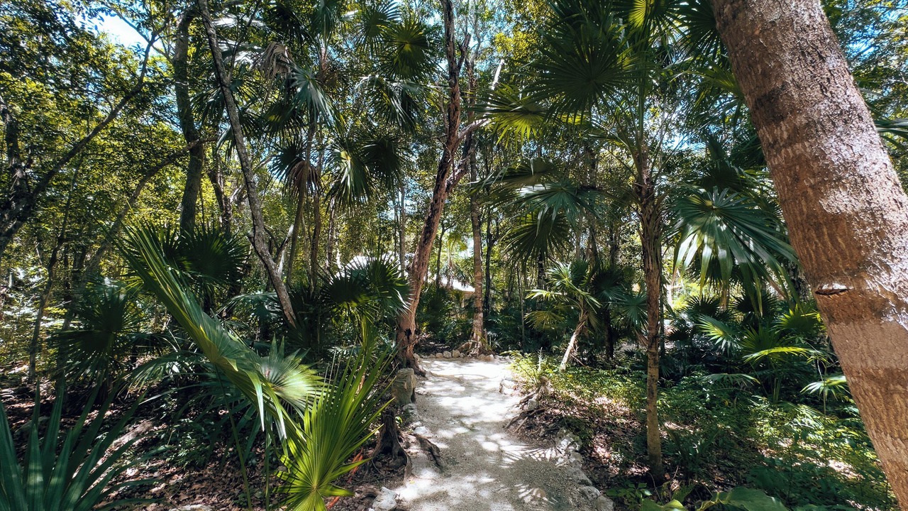 Photo of Others in Akumal