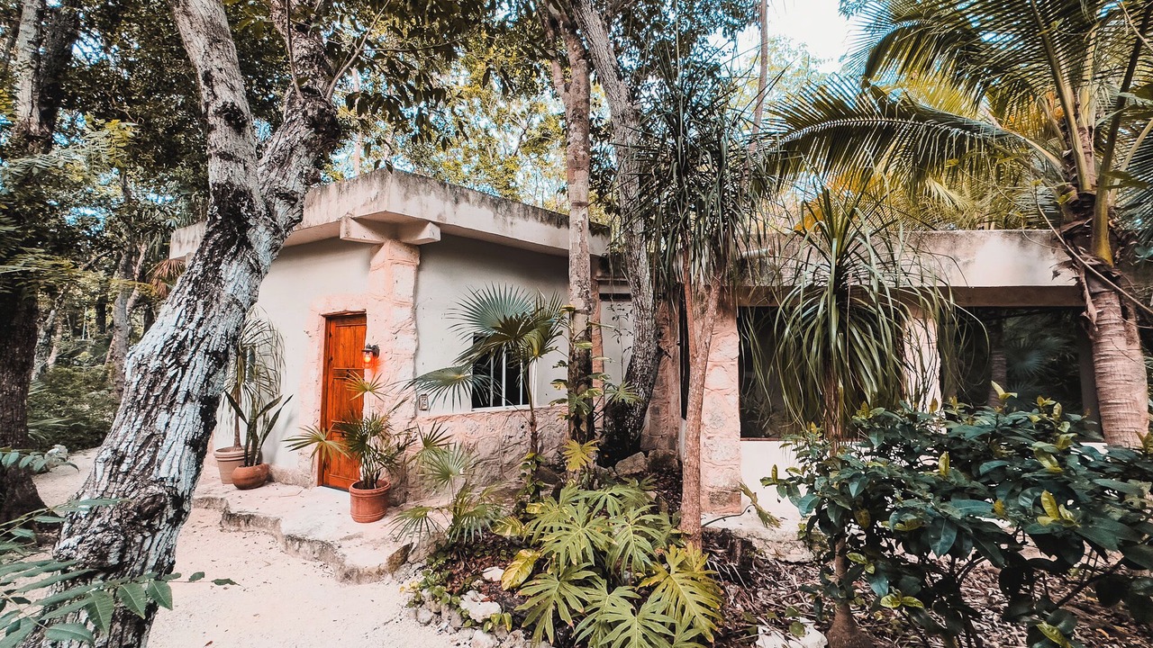 Photo of Outdoor in Akumal