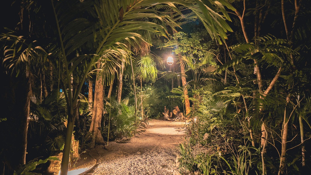 Photo of Outdoor in Akumal