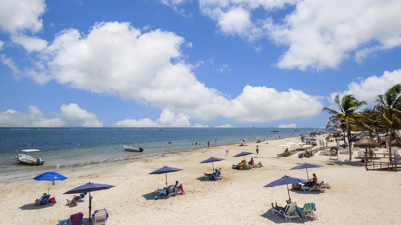 Photo of Others in Puerto Morelos