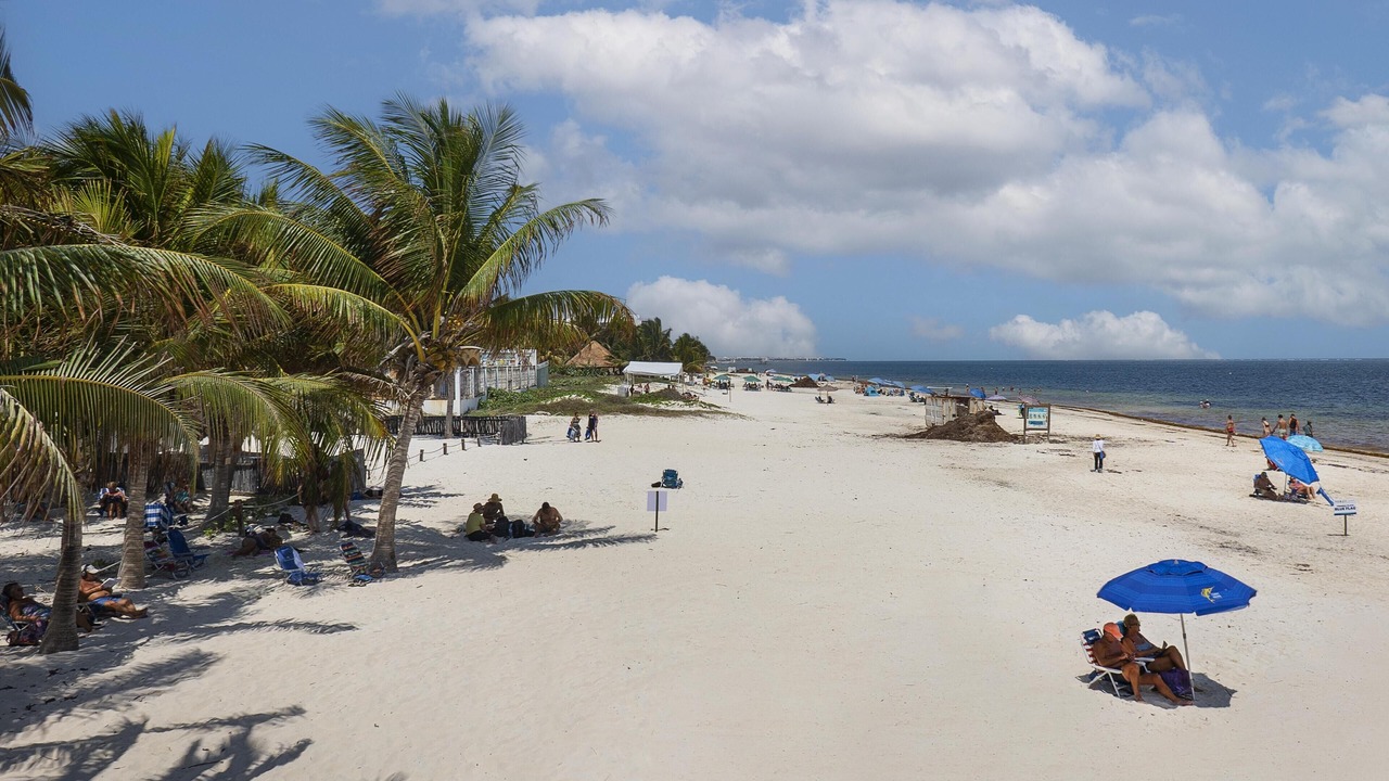 Photo of Others in Puerto Morelos