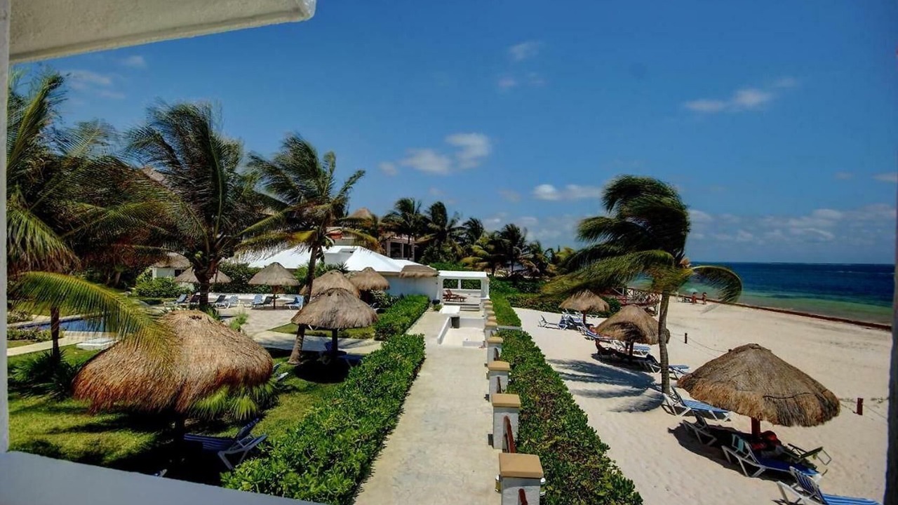 Photo of Others in Puerto Morelos