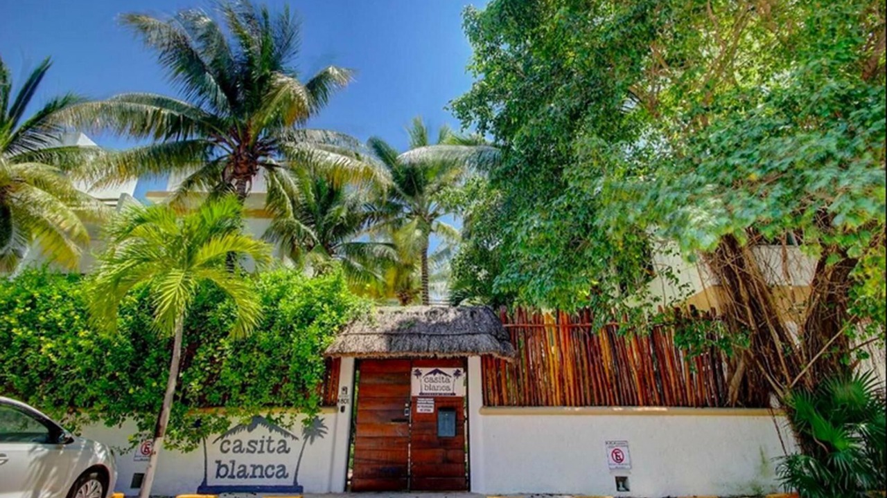 Photo of Outdoor in Puerto Morelos