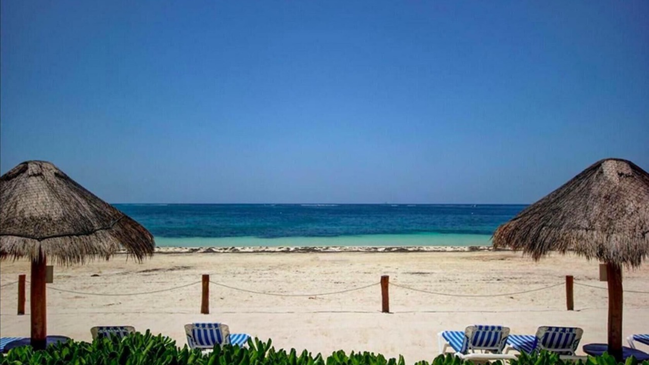 Photo of Others in Puerto Morelos