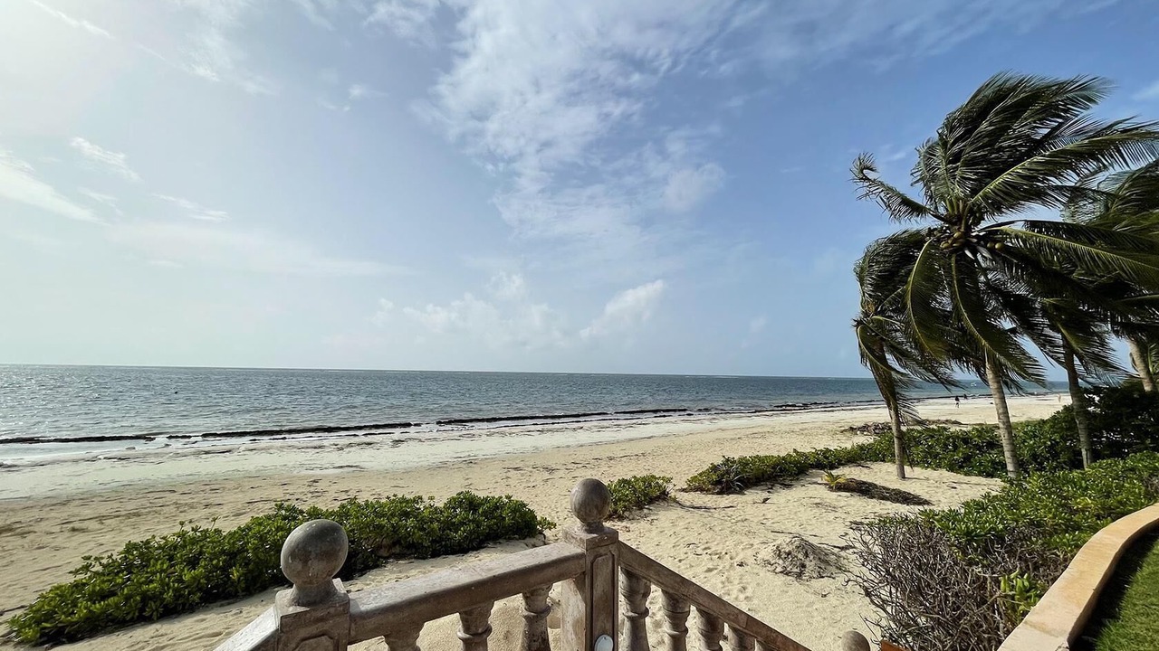 Photo of Others in Puerto Morelos