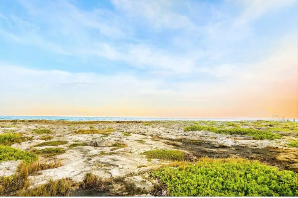 Photo of Others in Akumal