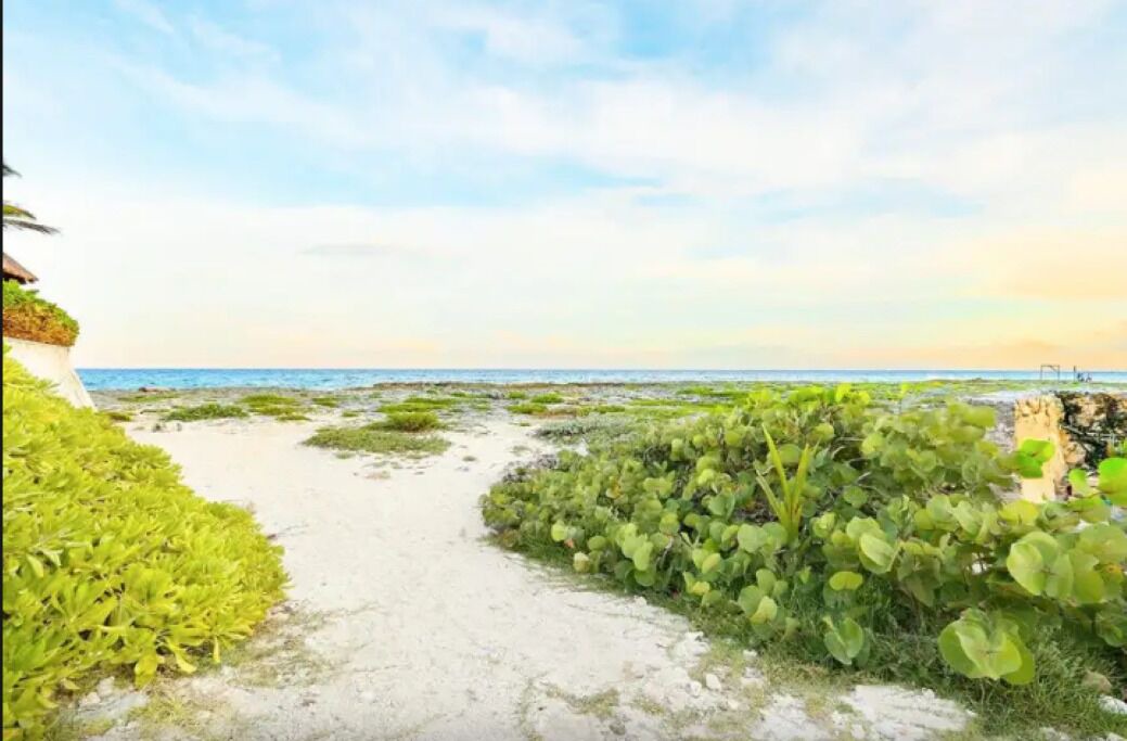 Photo of Others in Akumal