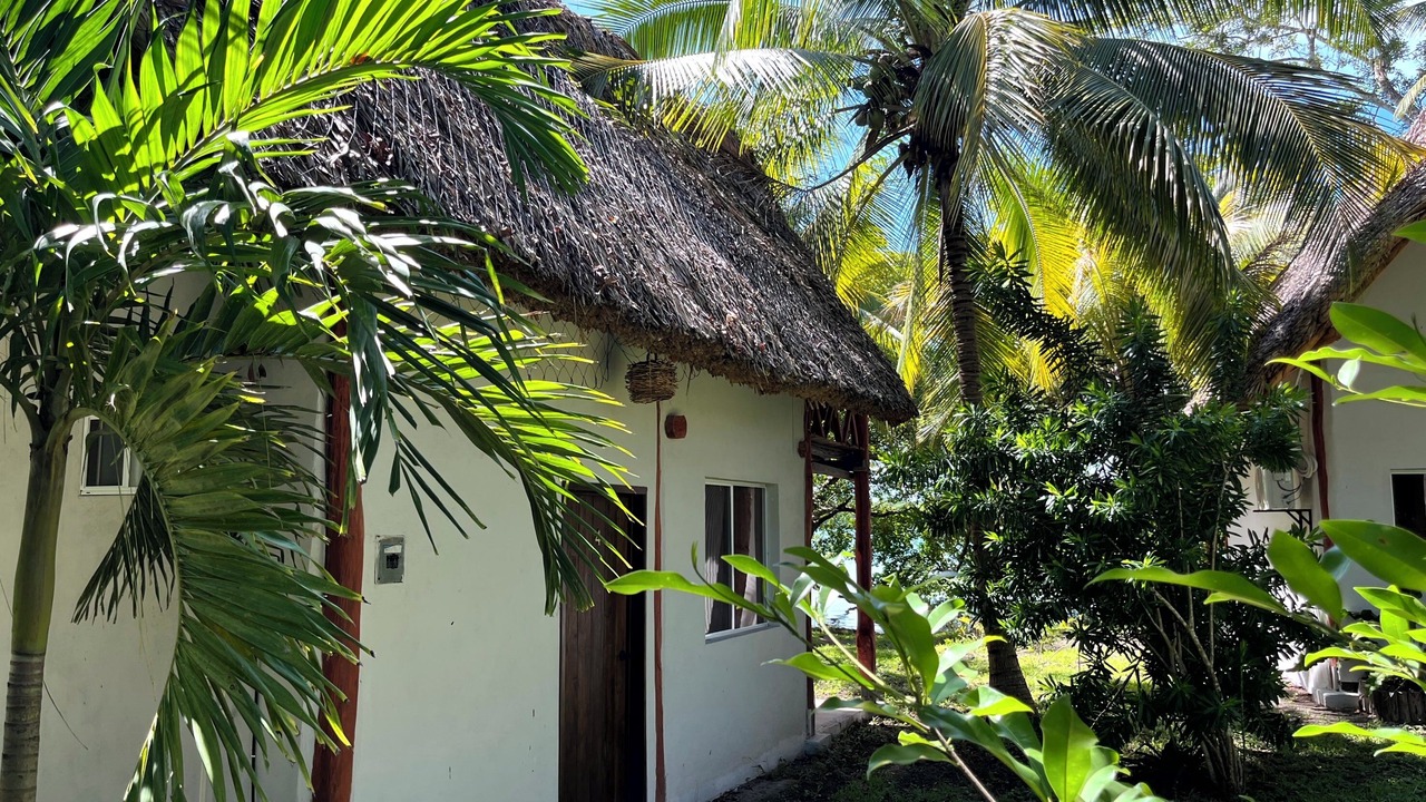 Photo of Outdoor in Othon P. Blanco
